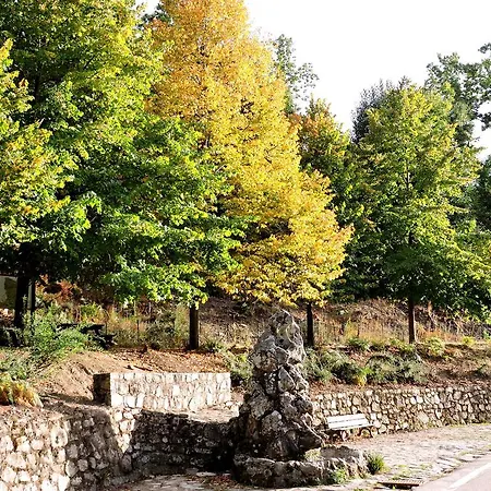 Le Sentier Des Oliviers Villa *
