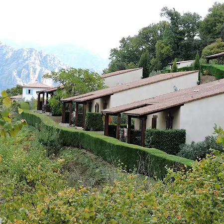 Le Sentier Des Oliviers