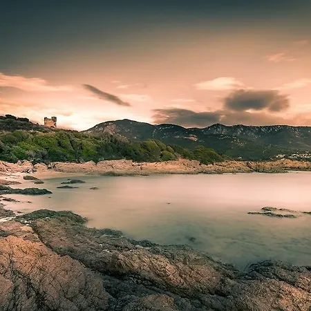 Villa Le Sentier Des Oliviers Vico