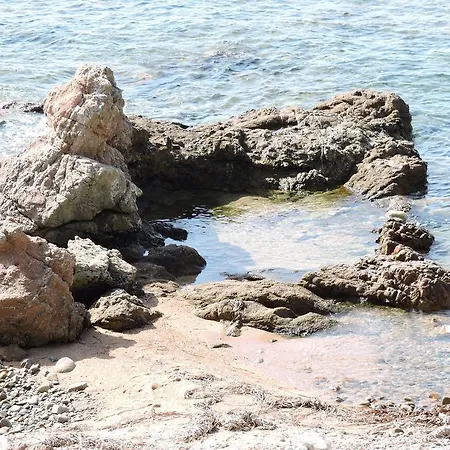 Le Sentier Des Oliviers * Vico