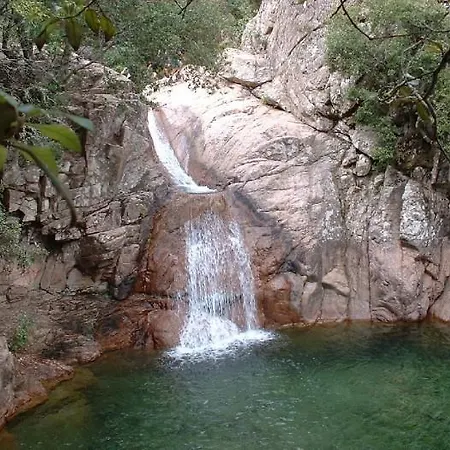 Le Sentier Des Oliviers Villa Vico
