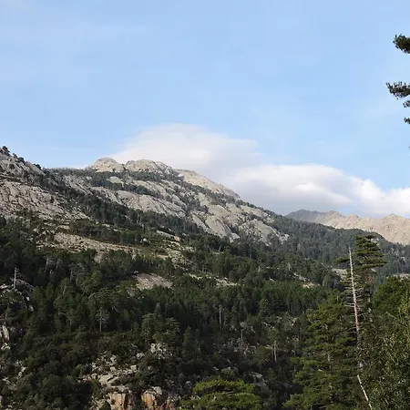 Villa Le Sentier Des Oliviers *